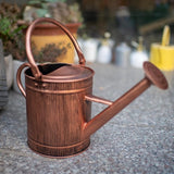 3,8 liter gieter, koperen gieter, metalen gieter met afneembare schenktuit, verzinkte gieter, mooie plantengieter voor binnen en buiten