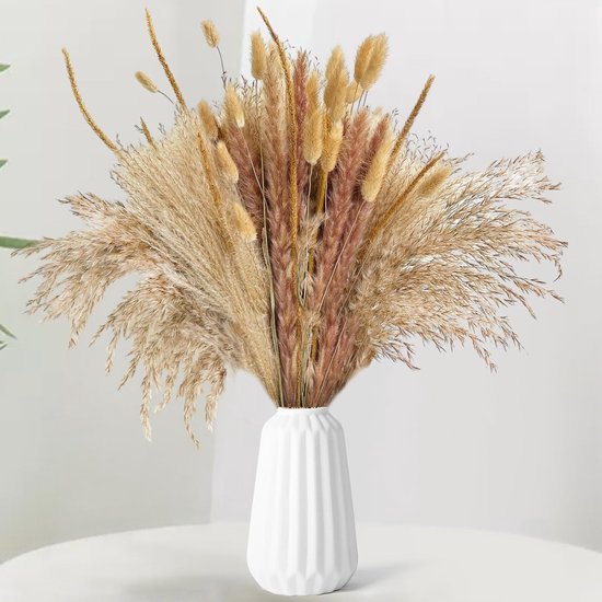 Pakket van 73 pampasgras gedroogde natuurlijke gedroogde bloemen decoratie, doe-het-zelf droge bloemenboeket, ideaal voor boho, herfst, woonkamer en vazen, tafeldecoratie