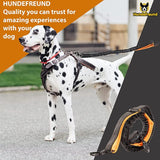 Jogginglijn voor grote honden tot 15 kg, vier elastische handgrepen met lichte banden, afneembare polsbanden met 2 kleine banden, oranje lussen (120 cm, reikbaar tot 170 cm)