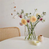 Vaas,transparant plastic