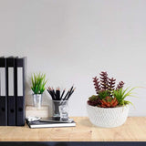 Kunstplant, vetplanten, kunstmatige kamerplant, vetplant, decoratieve tafeldecoratie, woonkamer, vetplant, in cementpot, voor badkamer, bureau, sideboard, hoogte 16 cm