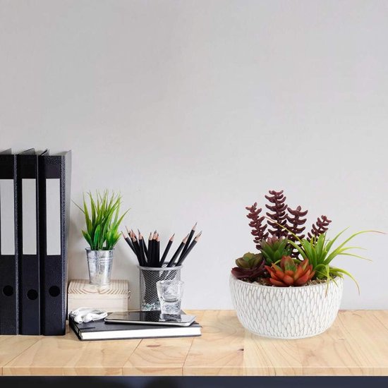Kunstplant, vetplanten, kunstmatige kamerplant, vetplant, decoratieve tafeldecoratie, woonkamer, vetplant, in cementpot, voor badkamer, bureau, sideboard, hoogte 16 cm