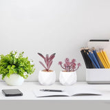 4 stuks kunstvetplanten, potplanten, kunstplanten in keramische pot, kleine kunstplanten zoals echt, binnen, thuis, tafel, kantoor, slaapkamer, thuis, badkamer, decoratie, kunstplant