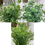 Set van 3 Groen Assortiment Shamrock Buxus en Rozemarijn Planten Plastic in Papieren Potten voor Thuiskantoor Tuin