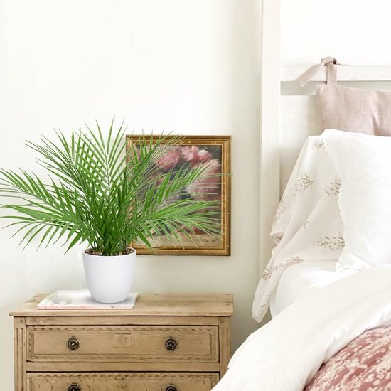 Kunstplanten voor gebruik binnenshuis: deze schattige kleine kunstplanten van palmbomen