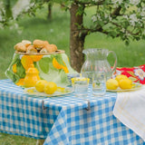 6 stuks middelgrote tafelkleedklemmen