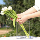 Vaas transparant 15 x 3,8 x 19,8 cm