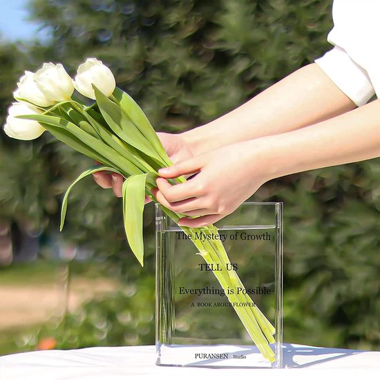 Vaas transparant 15 x 3,8 x 19,8 cm