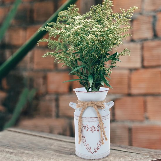 Vaas in landelijke stijl, plantenpot, bloemenarrangement vaas, boeketten vaas, ijzeren vaas voor bloemen, het elegante design kan gemakkelijk met verschillende decoratiestijlen worden gecombineerd.