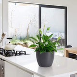 Bloempot, zelfwaterende bloempot, set van 10 stuks, klein, ideaal voor binnen en buiten, bloempot voor orchideeën, basilicum en kruiden, zelfbewaterende pot, zwart