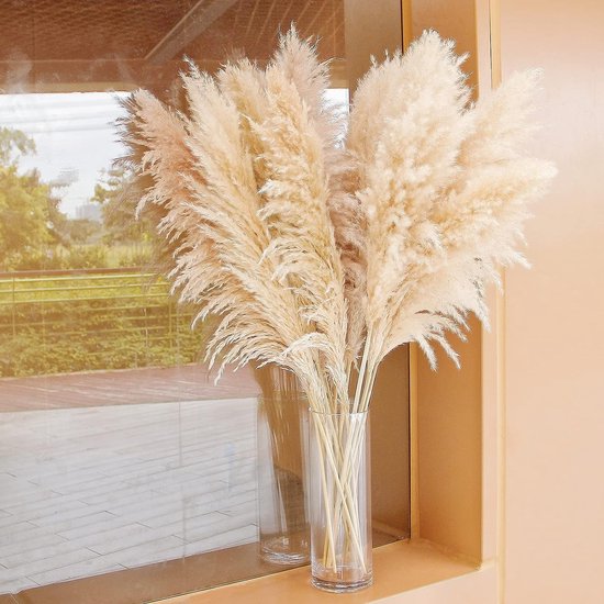 10 stuks Pampasgras Groot, Pampasgras XXL, Pampasgras Decoratie Groot voor Boho Decoratie Woonkamer Tafel Slaapkamer Bruiloft Badkamer (100 cm)