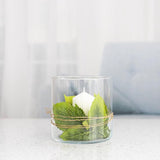 Glazen cilinder H: 15 cm bloempot glas cilindervorm glazen vaas rond decoratief glas voor kaarsen doorzichtige vaas ronde tulpen vaas glazen cilinder voor kaarsen | diameter 15 cm |