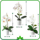 Kunstbloemen in potten (36cm) - set van 3 orchideeën kunstmatig op elkaar afgestemd arrangement in hoogglans keramische potten, decoratieve kunstbloemen, kunstorchideeën (wit arrangement)