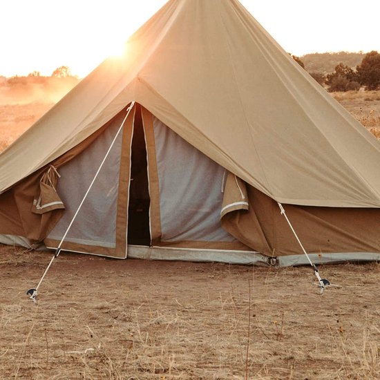 12 x tentharingen van staal - robuuste haringen met schroefdraad in transportbox voor camping en outdoor - ideaal voor normale en harde bodem met T-greep