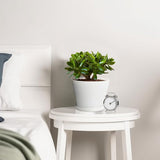 16 stuks 10 cm plantenpotten plantenpotten kweek bloempot kunststof klein met pallets kweekpotten kunststof potten planten rond voor zaden sappige bloemen voor thuis kantoor decoratie wit