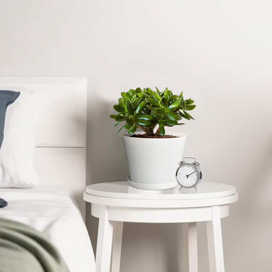 16 stuks 10 cm plantenpotten plantenpotten kweek bloempot kunststof klein met pallets kweekpotten kunststof potten planten rond voor zaden sappige bloemen voor thuis kantoor decoratie wit