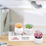 Kunstmatige vetplanten, 3 stuks, kunstplanten met pot, kleine kunstplant, voor tafel, huis, balkon, kantoor, decoratie. Kunstmatige vetplanten, 3 stuks, kunstplanten met pot, kleine kunstplant, geschikt voor tafel, huis, balkon, kantoor, decoratie.