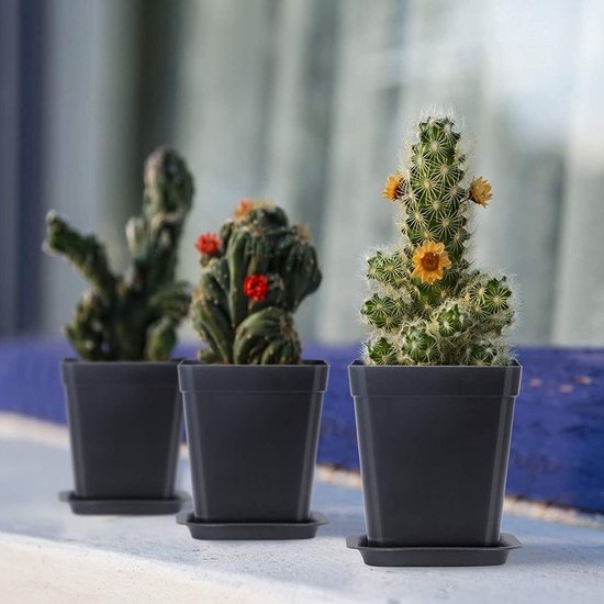 24 stuks vierkante bloempot, 7 cm plastic bloempotten, succulente plantenbakken met palet voor binnen- en buitendecoratie, plantenpot met schotel (zwart)