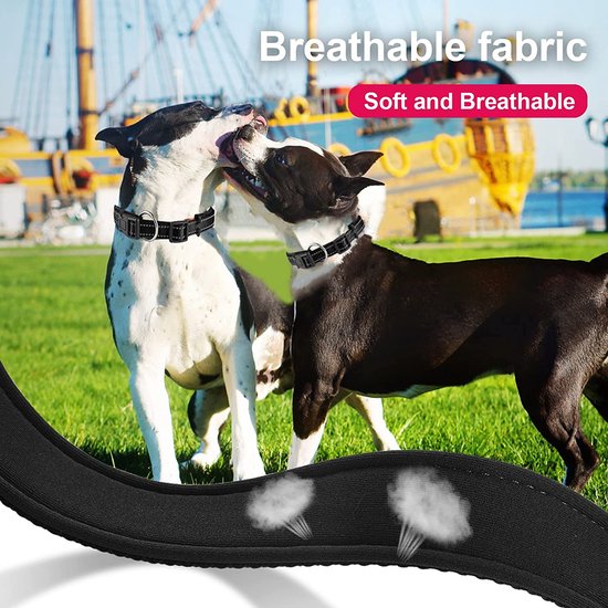 Zachte Halsband Reflecterende Verstelbare Gewatteerde Halsband Met Tag Voor Kleine Grote Honden - Zwart - S
