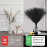 Artificial Pampas Grass, 30 Pieces, Dried Pampas Grass, Decorative Dried Flowers Decoration, Small Fluffy Artificial Pampas Grass Flowers for Boho Home Decor (Black)