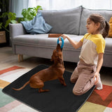 Opvouwbare outdoor hondenmat, hondendeken, wasbaar, gewatteerd kunstleer, hondenmat, waterdicht, campingdeken, hond, kat, hondenbed voor binnen en buiten, grote reisdeken voor huisdier (L)