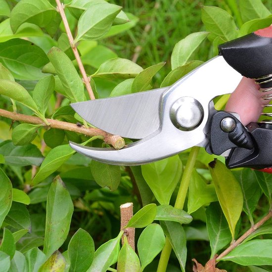 Tuinschaarset, professionele boomschaar, bypassschaar, cutter, tuinschaar, bloemenschaar, heggenschaar, schaar voor tuingazonwerkzaamheden, roestvrijstalen lemmet, veerslot, 3 stuks