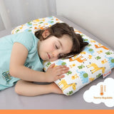 Kussen wit 58 x 32 cm