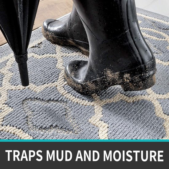 Deurmat binnen 50 x 80 cm, wasbaar, vuilvangmat, antislip, voetmat, binnen, waterabsorberende voetmatten, huisdeur, deurmat, deurmat, lichtgrijs