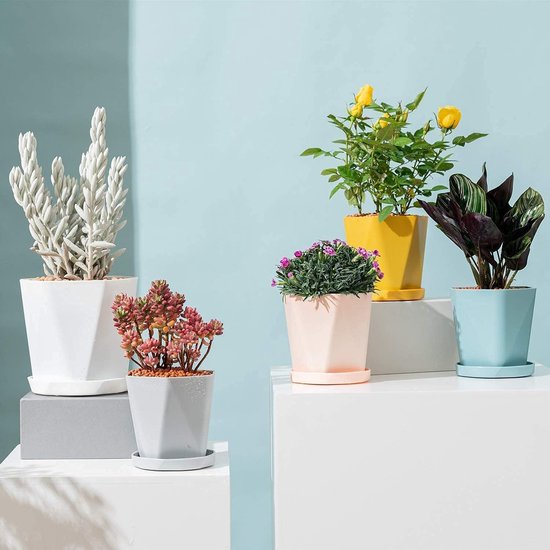 6 stuks kunststof bloempotten, 13 cm, kleurrijke bloempot, zaailingplant met wortelcontrole, tuinpotten in Scandinavische stijl, met schotel, voor bloemen, kruiden, vetplanten, cactussen (6 kleuren)