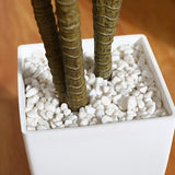 Kunstmatige drakenboom, 120 cm, kunstplant met 74 bladeren, tropische plastic kunstplanten in pot, voor woonkamer, slaapkamer, kantoor, tuindecoratie