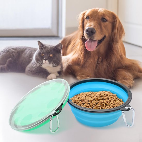 Grote hondenbak, opvouwbaar, 1000 ml, opvouwbare hondenvoerbakken, draagbare hondenwatervoerbak met sluiting, huisdierkattenvoerbak voor reizen, wandelen (lichtblauw + lichtgroen)