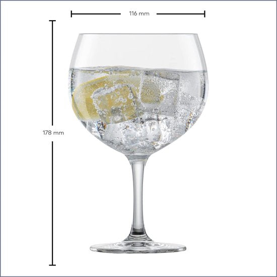 Gin Tonic Glas Bar Special (set van 4), bolvormige longdrinkglazen voor Gin Tonic, vaatwasmachinebestendige Tritan-kristalglazen