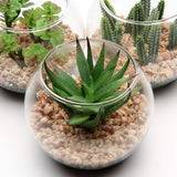 Kunstplant, vetplant, kamerplant, decoratieve woonkamer, badkamer, decoratieve vetplant, hoogte 8 cm, in glazen pot, set van 3