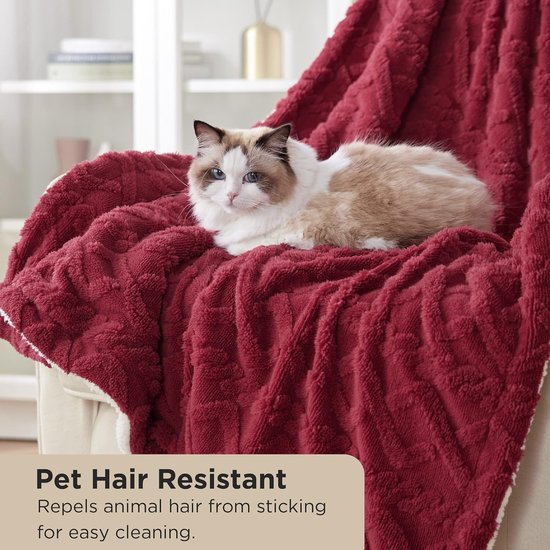 Knuffeldeken, deken, bank, gebreide deken, woondeken, knuffeldeken, 150 x 200, bankdeken, dubbel gezicht, extra zacht, behaaglijke deken, wollige woonkamer, wollen deken, rood, bankdeken