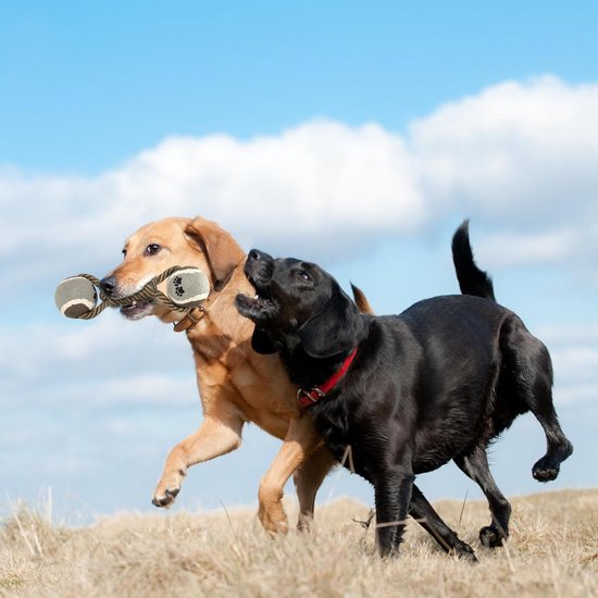 Hondenspeelgoed, robuust touwkauwspeeltje voor agressieve kauwers, interactief touwtrekken, hondentouwen voor honden, tandenpoetsen