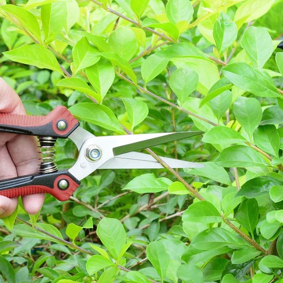 Tuinschaarset, professionele boomschaar, bypassschaar, cutter, tuinschaar, bloemenschaar, heggenschaar, schaar voor tuingazonwerkzaamheden, roestvrijstalen lemmet, veerslot, 3 stuks