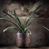 Bloempot, plantenpot van kunststof - decoratieve pot voor planten, UV-bestendige bloempot - diameter 19,5 cm - Roestbruin II