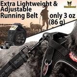 Jogginglijn voor grote honden tot 15 kg, vier elastische handgrepen met lichte banden, afneembare polsbanden met 2 kleine banden, oranje lussen (120 cm, reikbaar tot 170 cm)