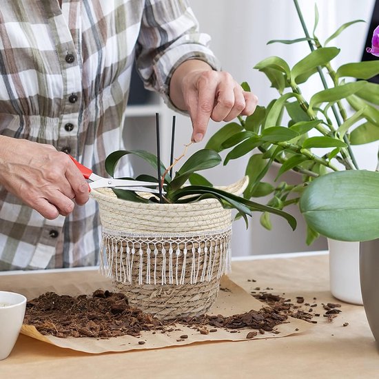 Set van 3 plantenmanden, bloemmand, gevlochten, oude zeegrasmand, handgeweven bloempotten, plantenmand