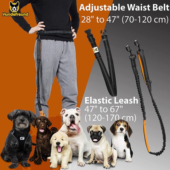 Jogginglijn voor grote honden tot 15 kg, vier elastische handgrepen met lichte banden, afneembare polsbanden met 2 kleine banden, oranje lussen (120 cm, reikbaar tot 170 cm)