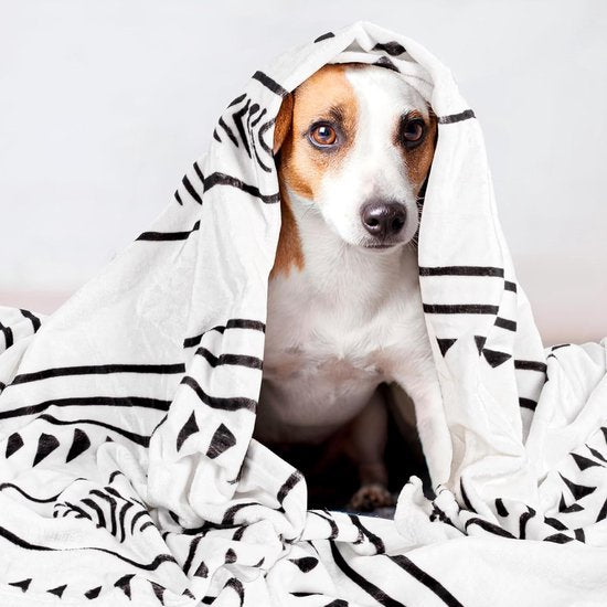 Fleecedeken, 127 x 152 cm, zachte en warme knuffeldeken, pluizig, ademend, kreukvrij winterdeken, bankdeken voor bank, bed, slaapkamer, woonkamer, kantoor - geometrisch