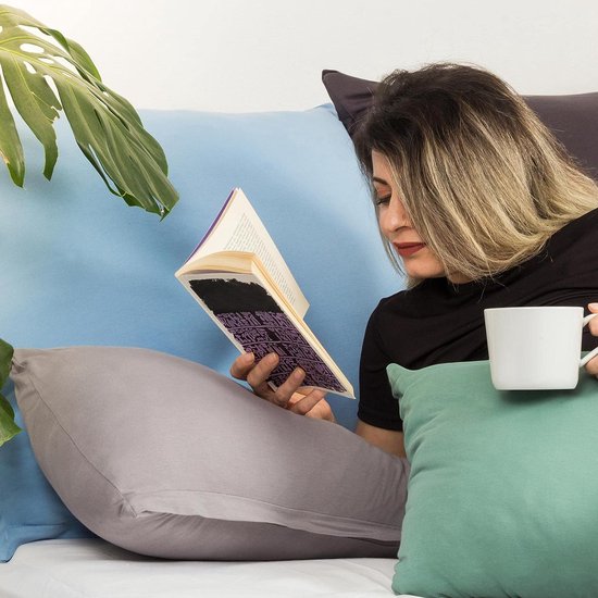 Set van 2 kussenslopen 40 x 40 cm van 100 katoen jerseystof 140 g/m², verborgen ritssluiting, kussensloop 40 x 40 cm, kussenhoes, ultrazacht en ademend, Oeko-Tex gecertificeerd