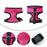 2 stuks verstelbaar kippenharnas, trainingsharnas en riem voor 7,5 - 8 kg eendengans, kippen, kleine huisdieren, roze-rood en blauw