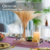 Decoratieve vaas, glazen cilinder, tafeldecoratie, 3 stuks/set, bloemenvaas, moderne glazen vaas, rond, glazen cilinder, bloemenvaas, tulpenvaas