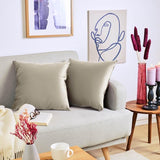 Set van 2 zachte fluwelen kussenhoezen, 40 x 60 cm, elegante fluwelen kussenslopen, taupe