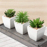 Kunstplant, vetplant, kamerplant, decoratieve woonkamer, badkamer, decoratieve vetplant, hoogte 10-14 cm, in keramische pot, set van 3