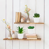 Cadeauset voor kunstplanten: 4 unieke groene kunstmatige vetplantplanten