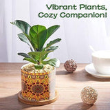 Keramische vetplantenpotten, 4 stuks, 7 cm, cactusplant, potten, mini-bloempottenset met bamboe onderzetter, miniatuurplantencontainer, decoraties voor thuis, kantoor, balkon, Mandala 01 kleurrijk