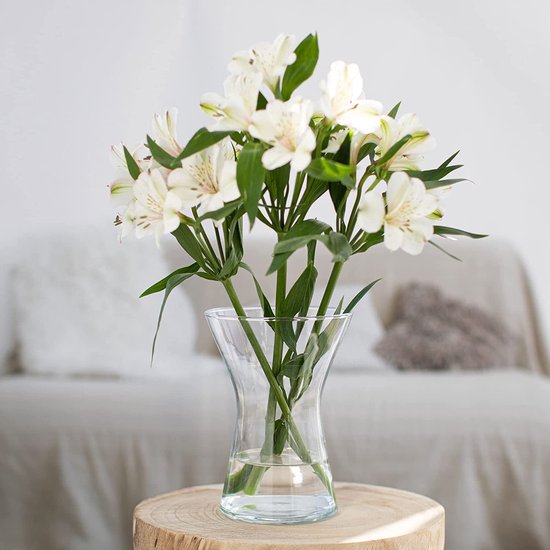 TREND FOR HOME Bloemenvaas, vaas, glazen vaas, voor bloemen, glazen bloemenvaas, tafelvaas, decoratieve vaas, transparante glazen vaas, decoratieve vaas, voor woonkamer, decoratieve vaas, H. 19 cm, aster, 1325 ml