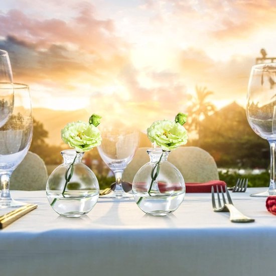 Vaas,transparant,12 stuks mini glazen vazen